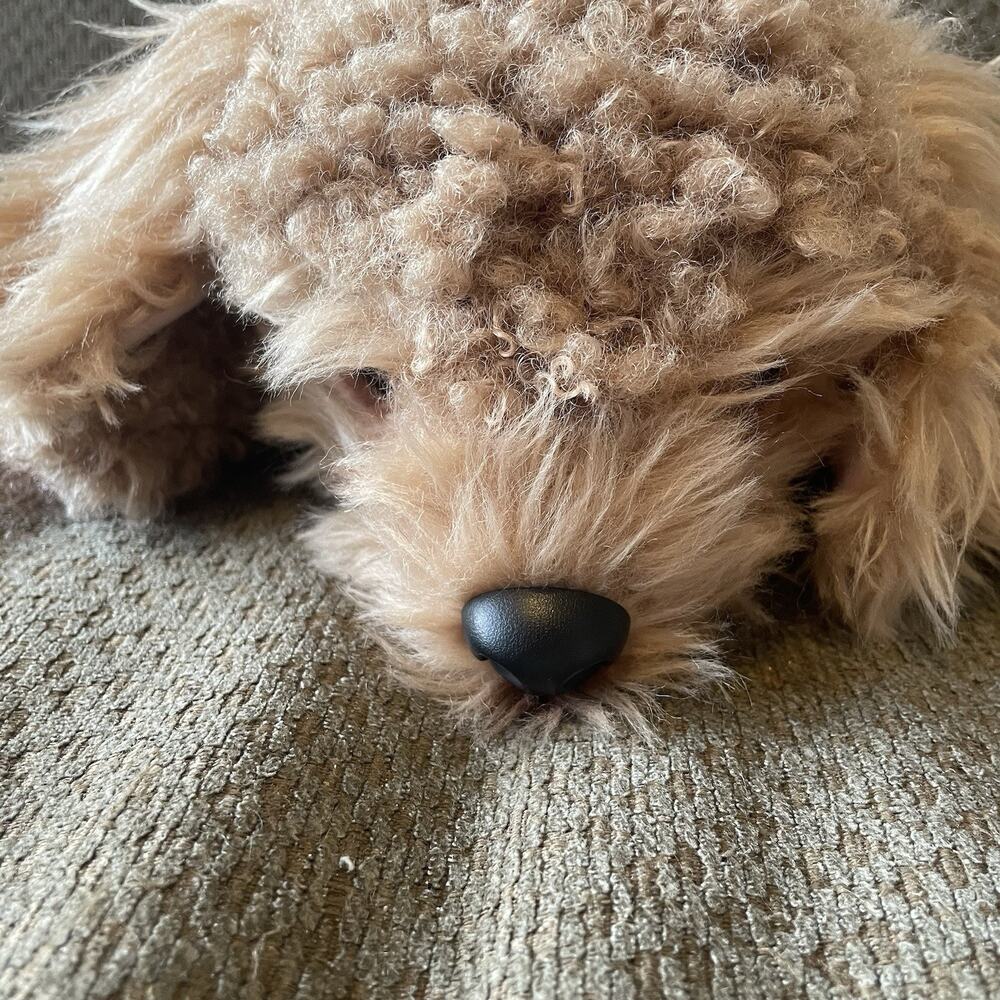 Little Live Pets My Really Real Puppy Curley Cavoodle Doodle Golden Dog WORKS! - Picture 5 of 11